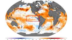 El enfriamiento de las aguas del Pacífico Ecuatorial que caracterizan a 'La Niña'. Climatereanalizer