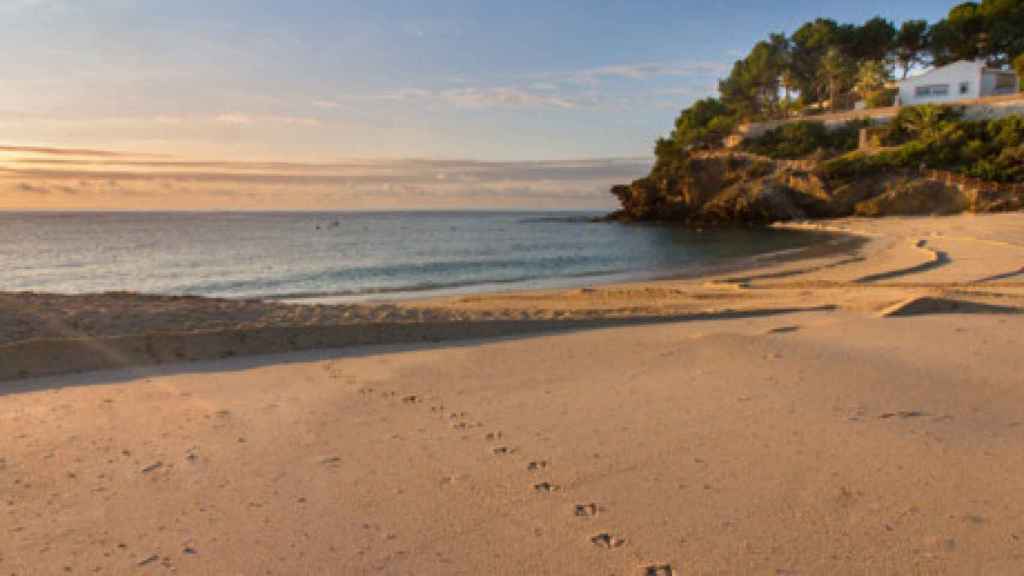 La Playa la Fustera.