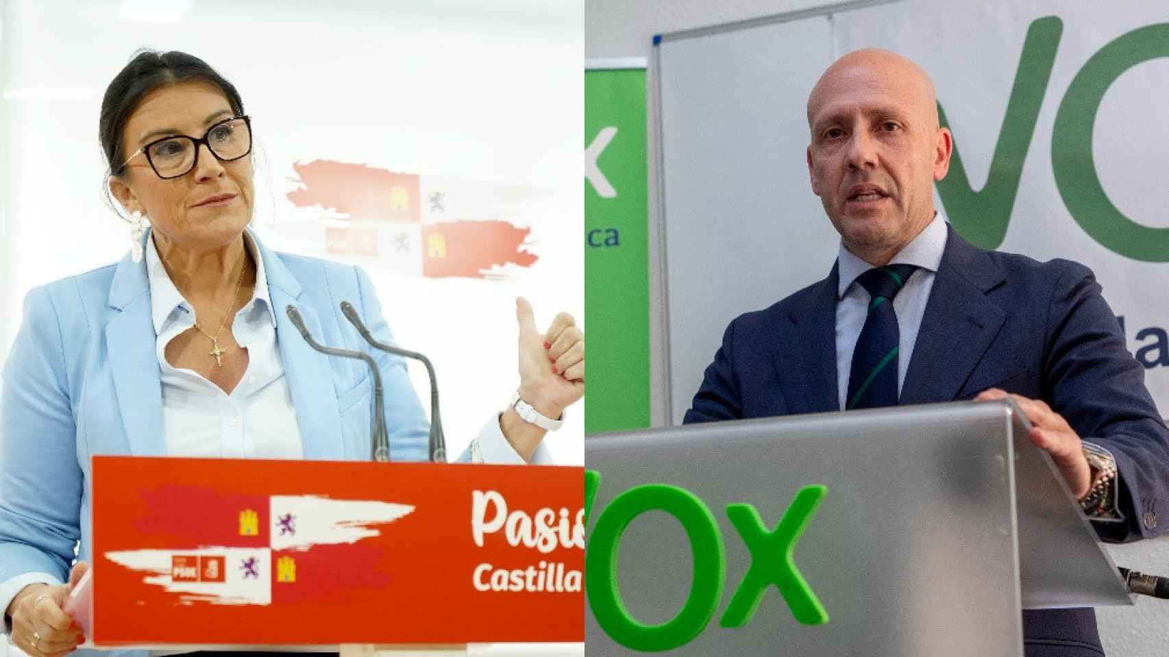 La secretaria de Organización del PSCyL y vicepresidenta segunda de las Cortes, Ana Sánchez, y el portavoz de Vox en la Cámara, Carlos Menéndez, en un montaje de EL ESPAÑOL.