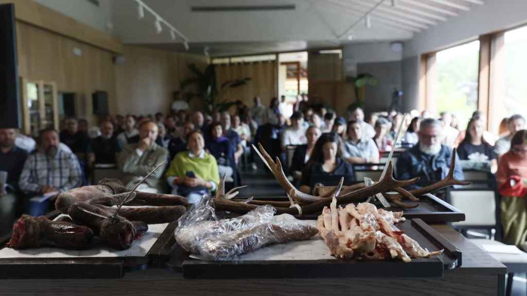 Cuernos de ciervo y venado y otros productos de los que habló Fermín Sobrón en Cocinas de Pueblo.