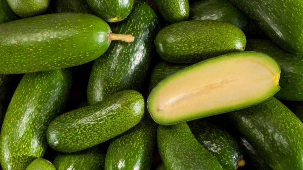 Aguacates dátil sin hueso