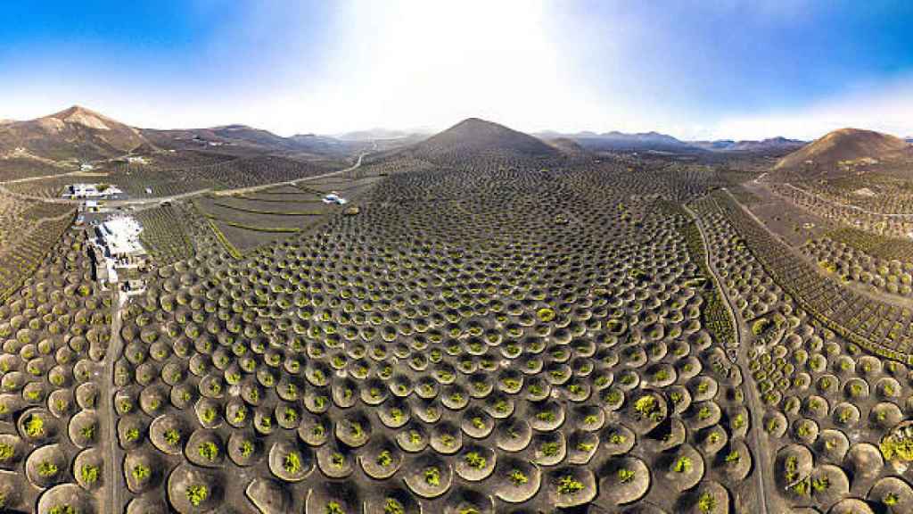 La agricultura de Lanzarote aprovecha la ceniza volcánica para mantener la humedad en el suelo.