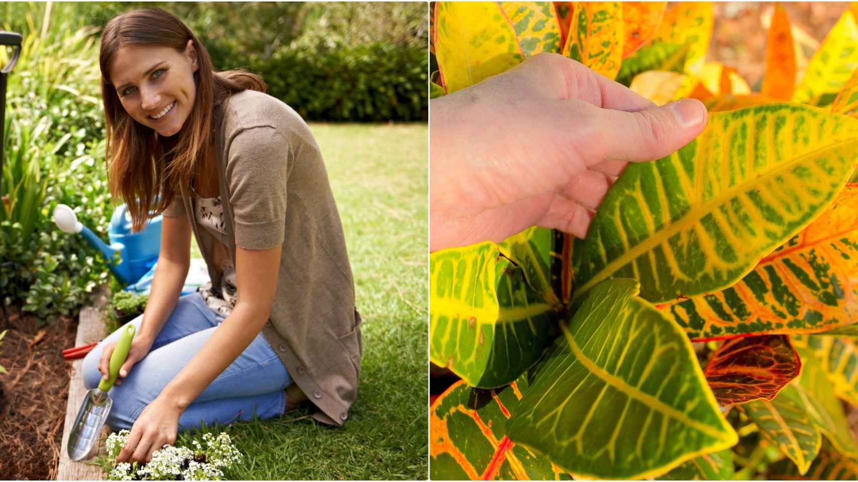 Mujer abonando su jardín.