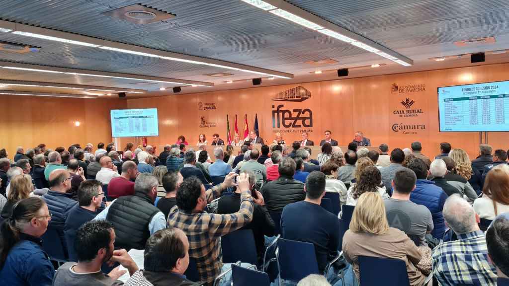 Reunión del Consejo de Alcaldes de Zamora en Ifeza