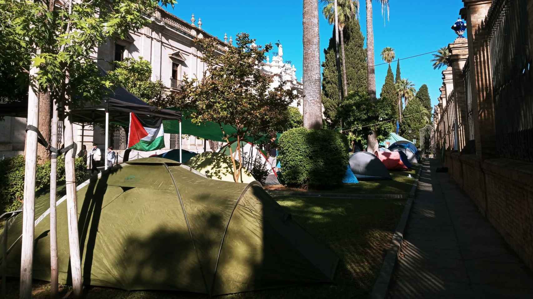 Tiendas de campaña de la movilización por Palestina, frente al Rectorado de la Universidad de Sevilla.