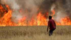 Incendio entre Tabara y Losacio, en Zamora, a 18 de julio de 2022.