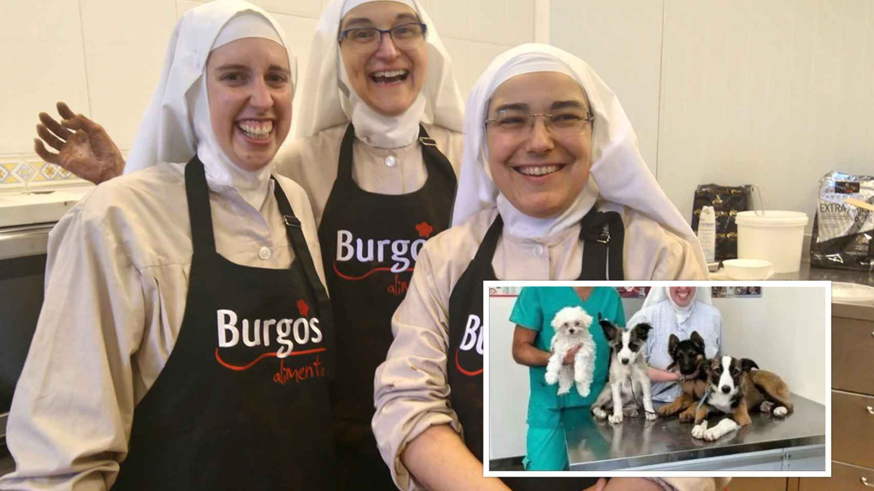 Las monjas clarisas de Belorado fueron denunciadas por tener un criadero de perros sin licencia