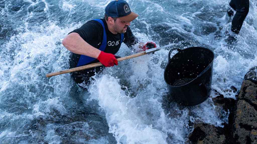 Un pescador recoge la cría del mejillón en la costa, a 1 de diciembre de 2023.