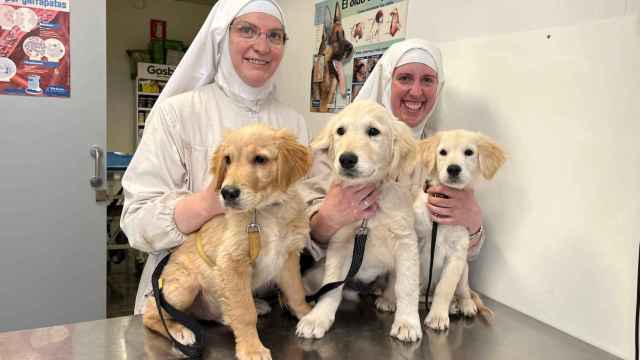 Dos de las monjas de Belorado, en una clínica veterinaria con varios perros, en 2022.