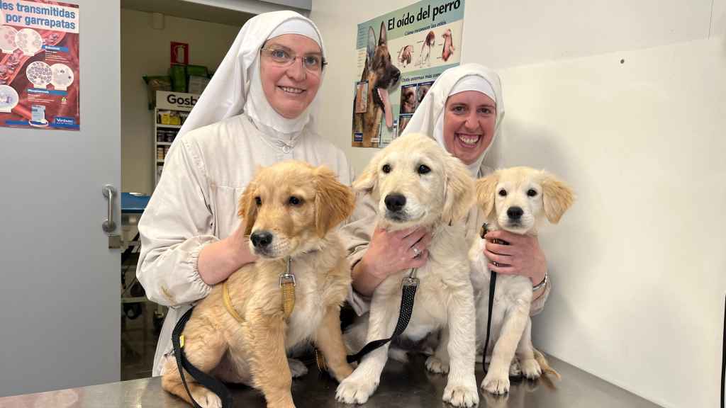 Dos de las monjas de Belorado, en una clínica veterinaria con varios perros, en 2022.