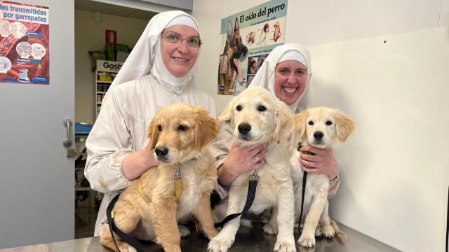 Dos de las monjas de Belorado, en una clínica veterinaria con varios perros, en 2022.