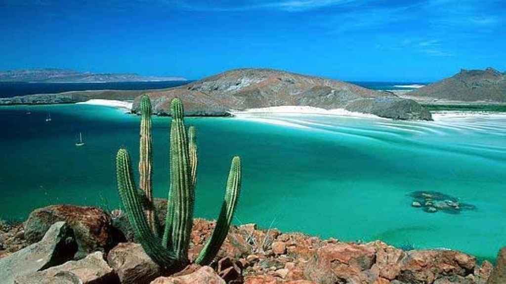 Costa de La Paz, en la Baja California. México.