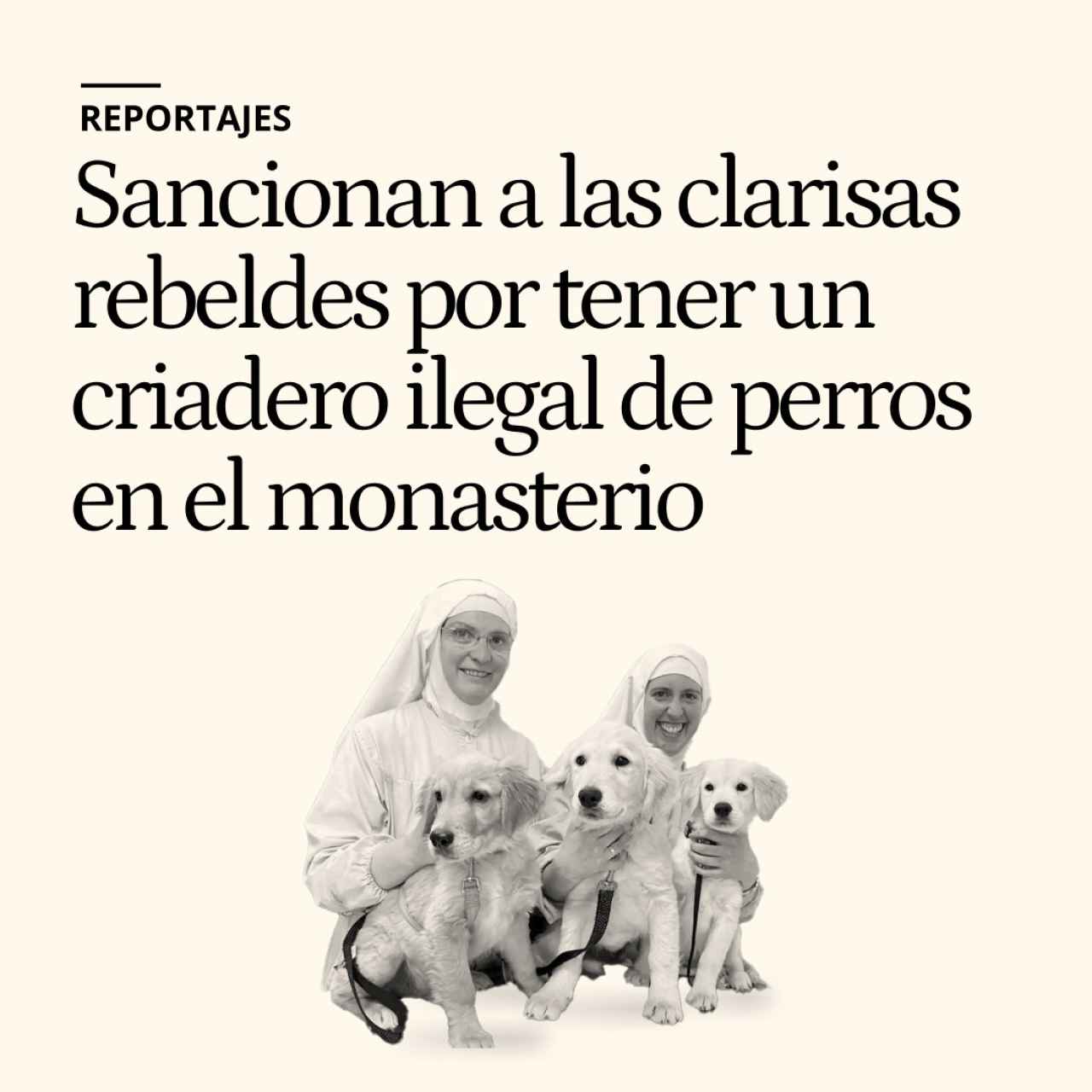 Sancionan a las clarisas rebeldes por tener un criadero ilegal de perros en el monasterio de Burgos