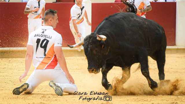 Javier Manso, Balotelli, en el Concurso de Cortes de Valladolid
