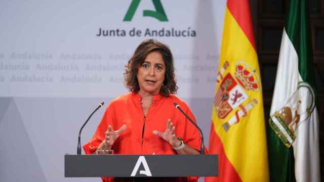 La consejera de Salud y Consumo, Catalina García, presenta el plan en rueda de prensa.