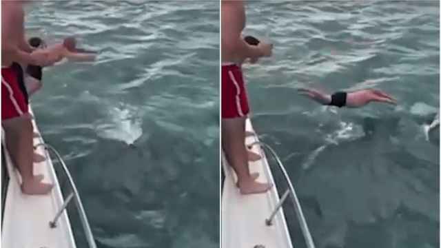 Las imágenes del 'ataque' del hombre a la orca.