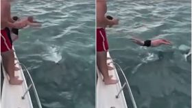 Las imágenes del 'ataque' del hombre a la orca.