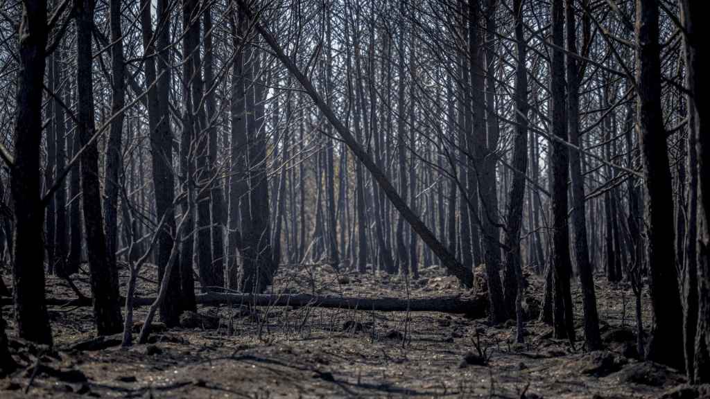 Imagen de archivo del paisaje afectado por un incendio en Castellón