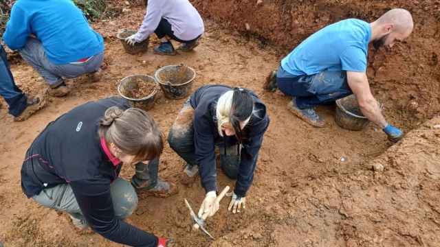 Excavación de La Revilla