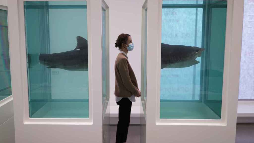 Una persona contempla una de las esculturas de Damien Hirst realizadas con animales conservados en formaldehído, en la galería Newport Street Gallery de Londres en 2020. Foto: Yui Mok / PA Wire / dpa
