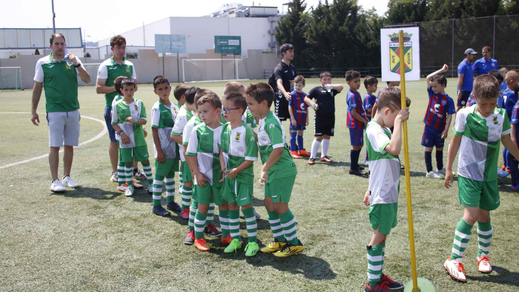 Imagen de una pasada edición del torneo Betis Cup
