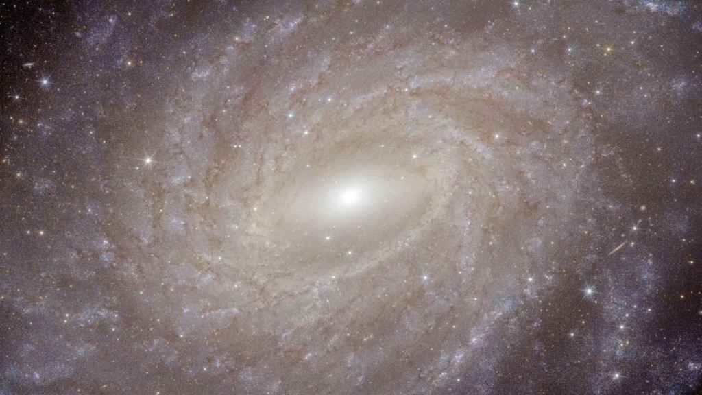 Fotografía de Euclid de NGC6744