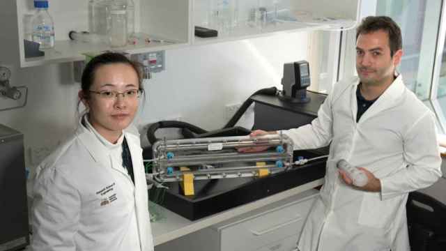 Shuqi Xu (izda.) y Juan Felipe Torres con el primer prototipo de desaladora termodifusiva