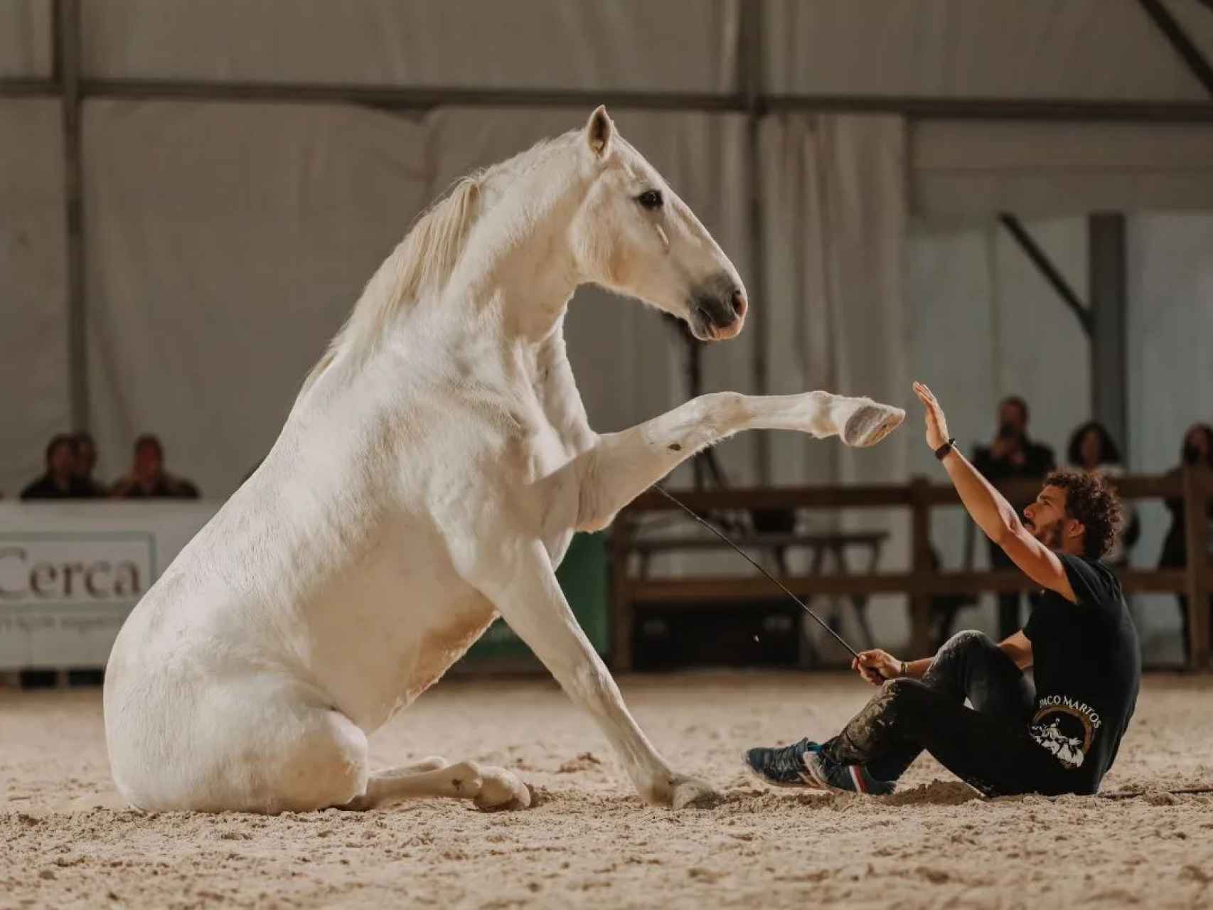 Paco Martos interactúa con un caballo durante uno de sus espectáculos. Fotografía: Perfil de Facebook del artista.