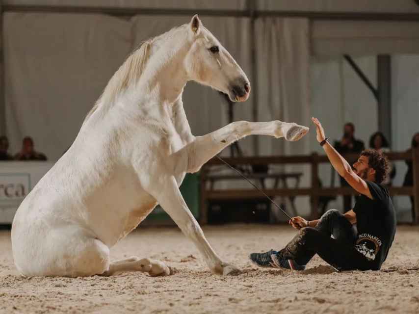 Paco Martos interactúa con un caballo durante uno de sus espectáculos. Fotografía: Perfil de Facebook del artista.