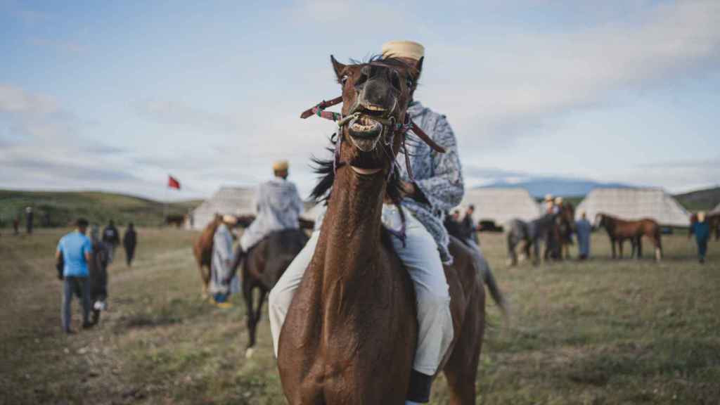 Un caballo en el Festival Internacional Mata, 2024.