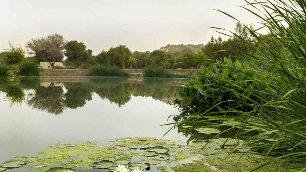 Parque El Recorral, en Rojales (Alicante).