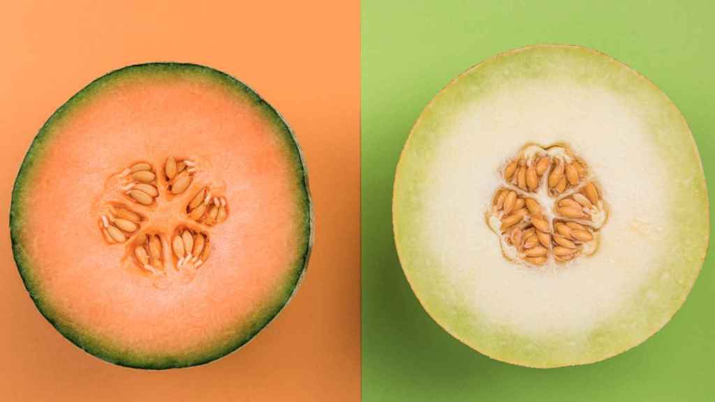 Diferencia melón cantalupo (izquierda) y melón galia (derecha).