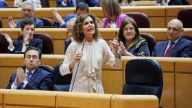 María Jesús Montero en el Senado.