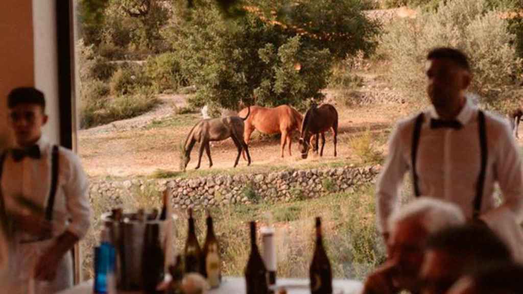 Caballos vistos desde el salón principal.