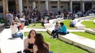 Selectividad 2024 (PAU): estas son las notas de corte de todos los grados de la Universidad de Alicante