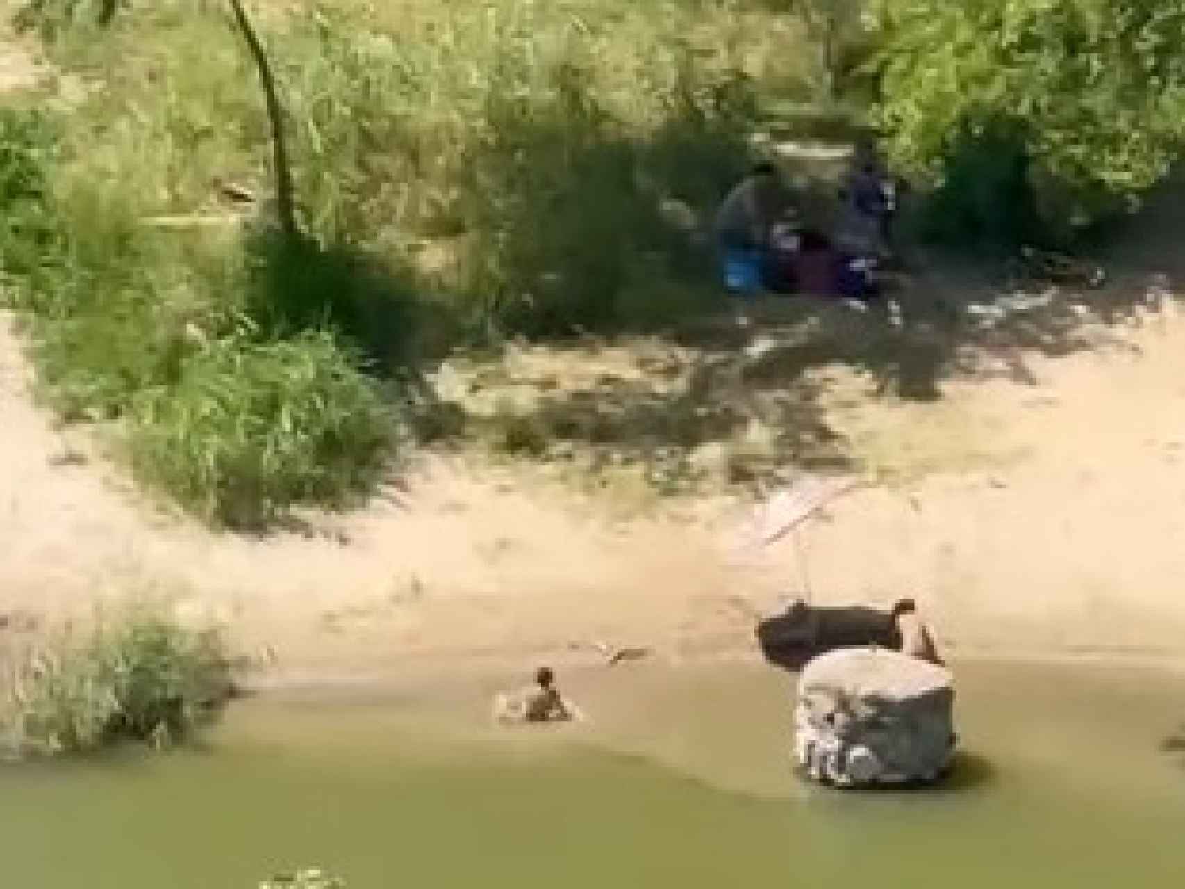 Se hace viral el vídeo de unos niños bañándose en el río Tajo en Toledo