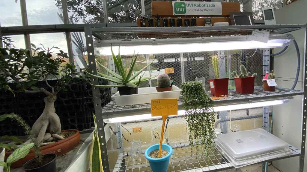 Zona UVI robotizada para que las plantas tengan la temperatura adecuada.