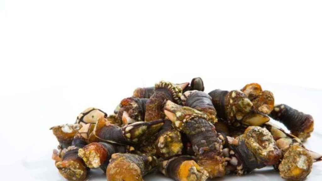 Percebes del Restaurante Beiramar.