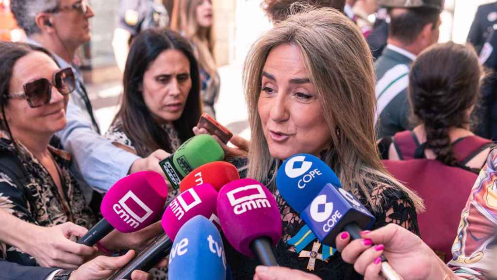 La delegada del Gobierno en Castilla-La Mancha, Milagros Tolón, atendiendo a los medios de comunicación.