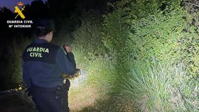 Agentes de la Guardia Civil en el lugar del hallazgo del cuerpo sin vida, en el municipio palentino de Santa Cruz del Monte