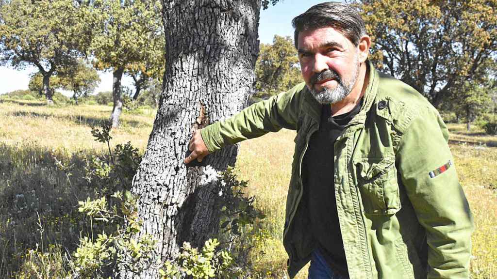 Juan Ramón señala una encina afectada por la acción del cerambyx en su finca