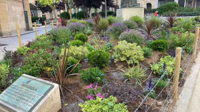 La plaza de San Juan de Sahagún se han plantado 447 plantas de 29 especies