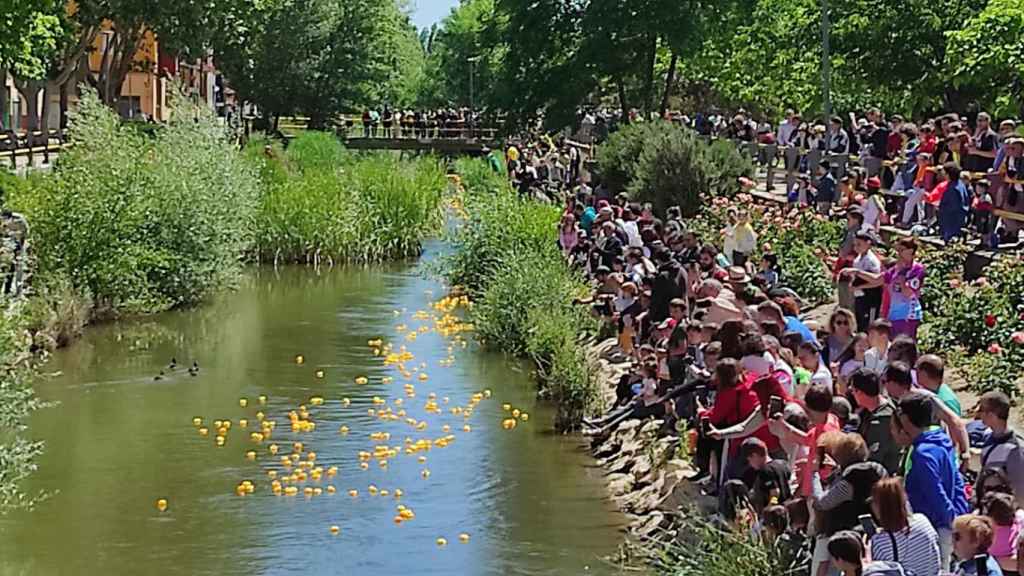 Carrera de patitos