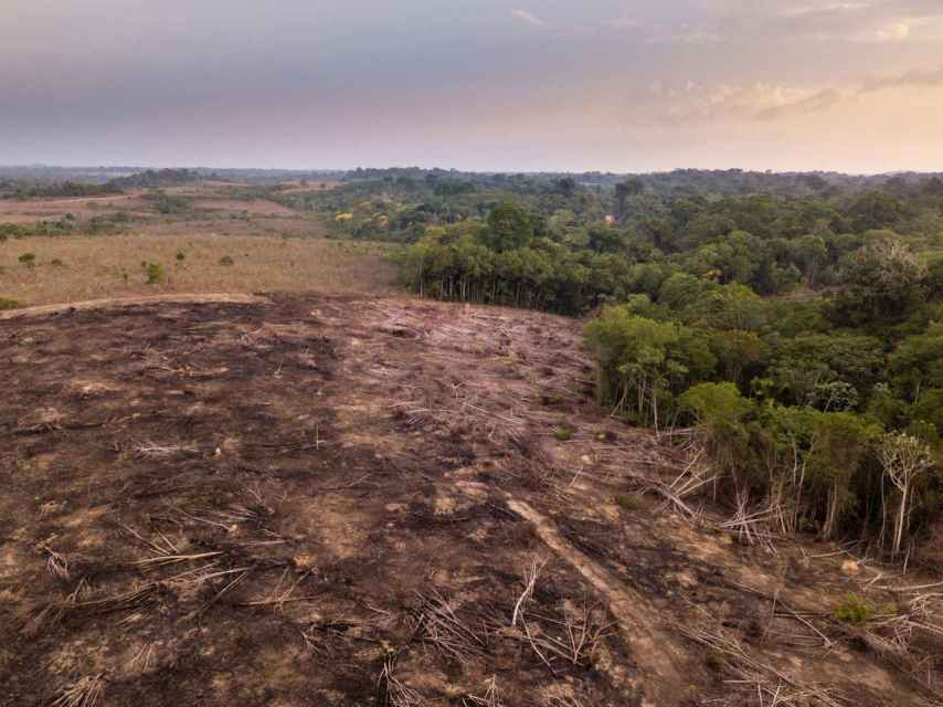 Imagen de deforestación en la región del Amazonas (Brasil).