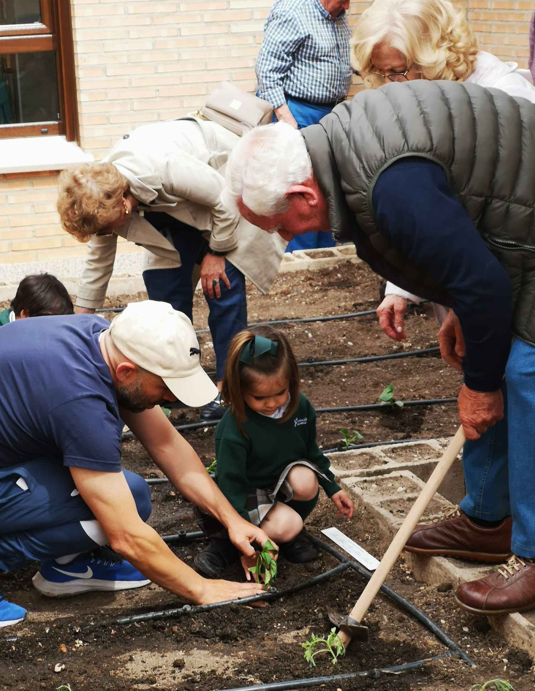 Alumnos y sus familiares trabajan el huerto escolar.