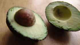 Aguacate Hass.