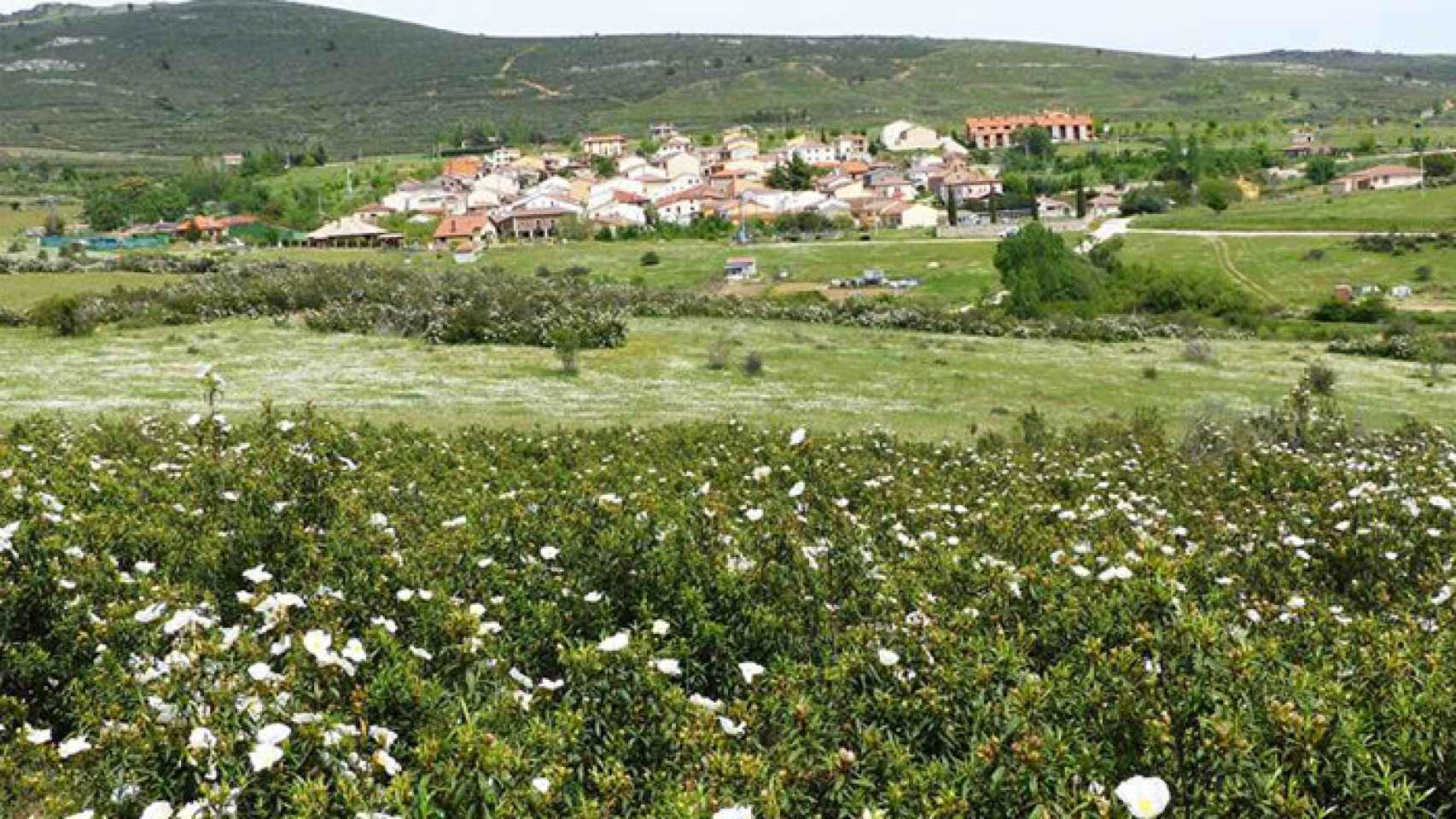 Pueblo de la Sierra de Madrid.