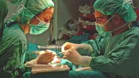 Imagen de archivo de una operación de trasplante de órgano.