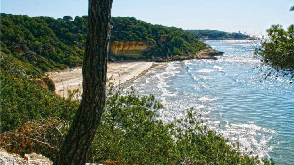 Cala Fonda rodeada por el bosque.