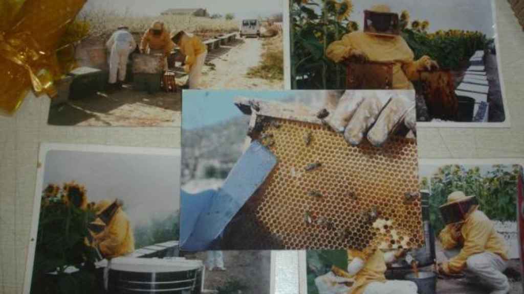La empresa familiar del investigado se dedica a la apicultura produciendo una miel de gran calidad.